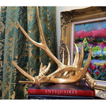 Golden Antlers [Set of 2] - Couture Lamps