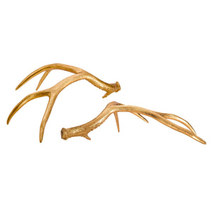 Golden Antlers [Set of 2] - Couture Lamps